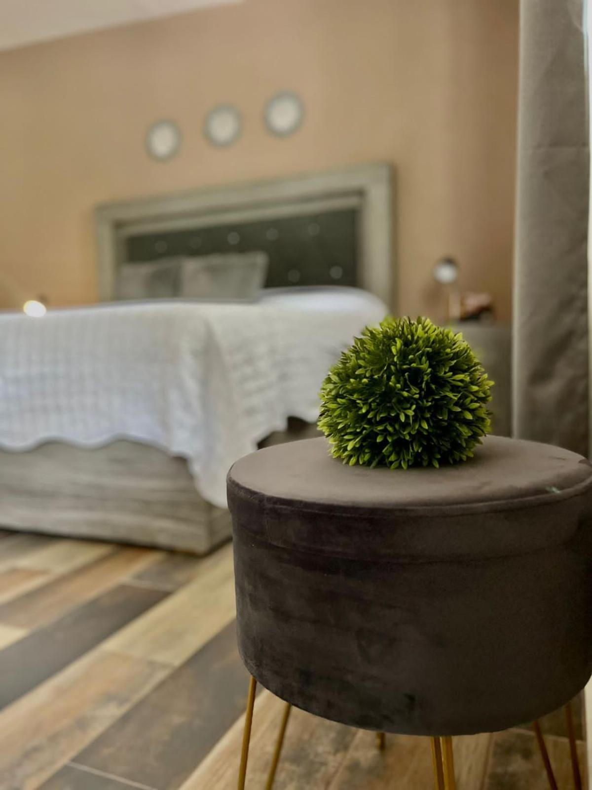 Cabanas, Suites Y Habitaciones Rancho San Jorge Bernal Kültér fotó